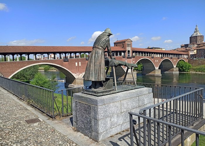 Pavia photo