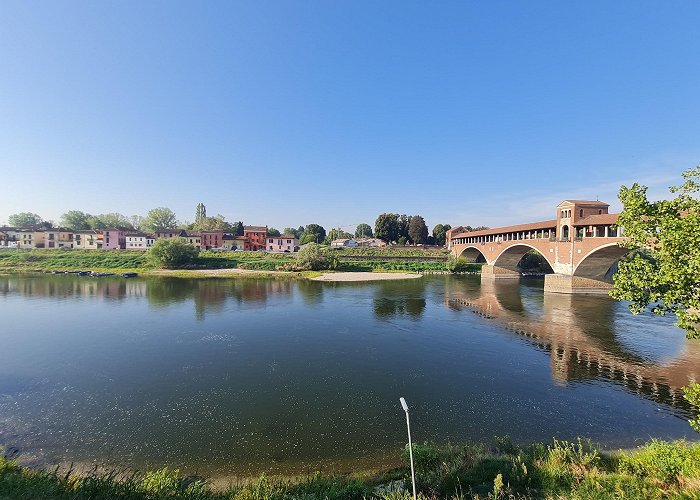 Pavia photo