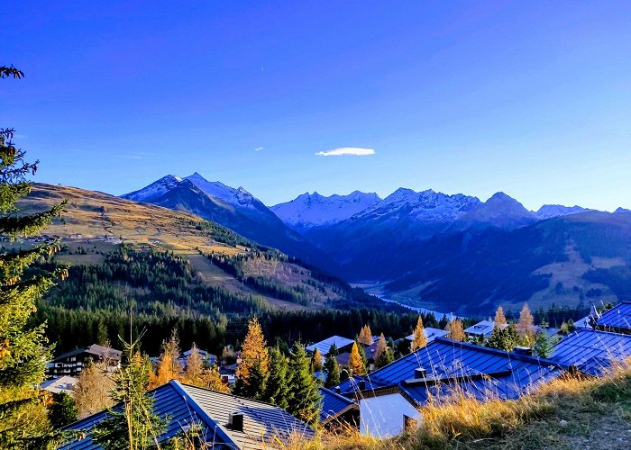 Wald im Pinzgau photo