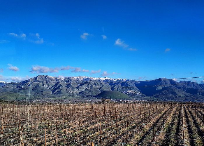 Castiglione De Sicilia photo