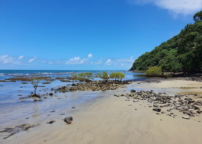 Daintree photo