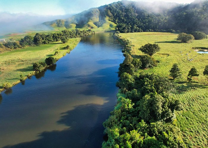 Daintree photo