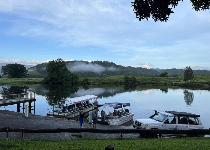 Daintree photo