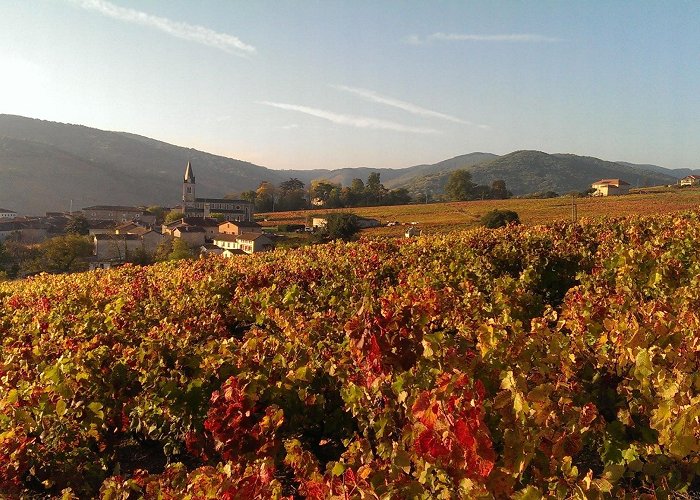 Quincie-en-Beaujolais photo