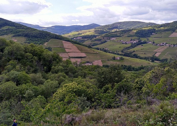 Quincie-en-Beaujolais photo