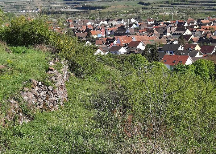 Sasbach am Kaiserstuhl photo