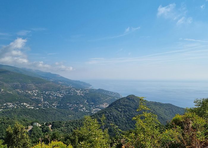 San-Martino-di-Lota photo