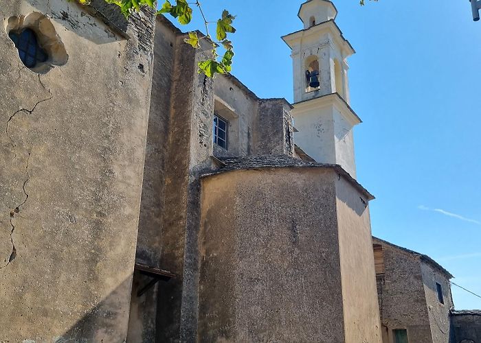 San-Martino-di-Lota photo