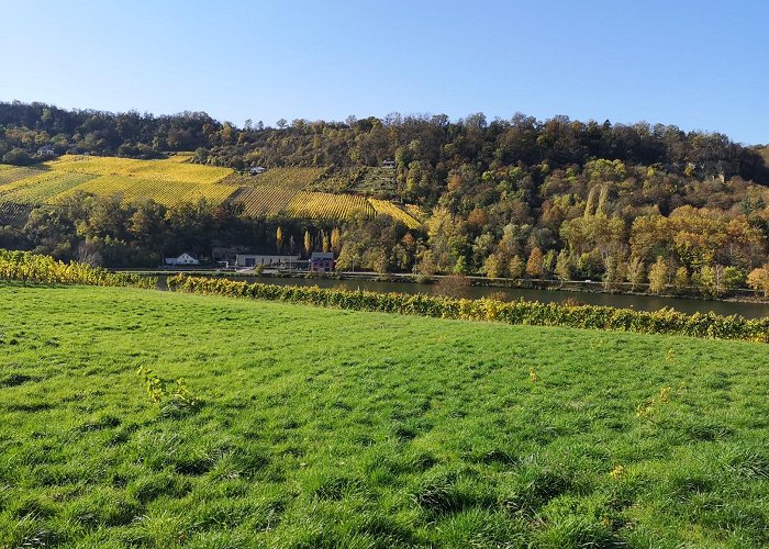 Wellen (Rhineland-Palatinate) photo