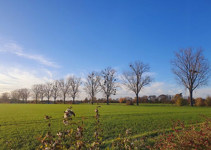 Biebesheim am Rhein photo