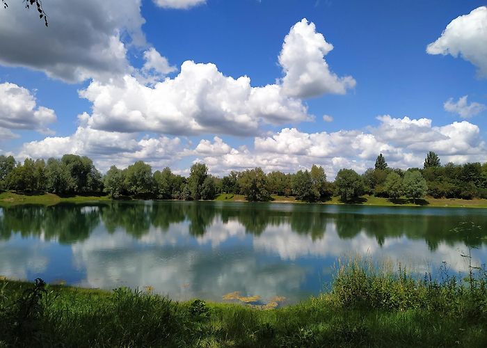 Biebesheim am Rhein photo