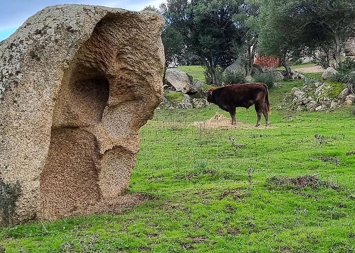 Berchidda photo