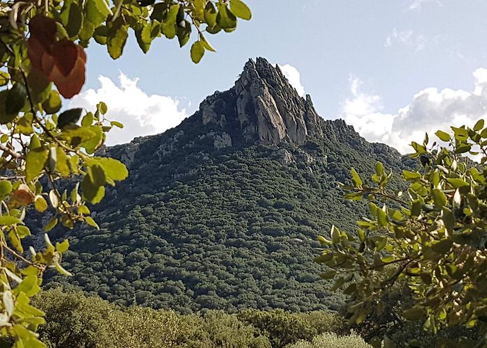 Berchidda photo