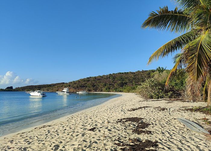 Culebra photo