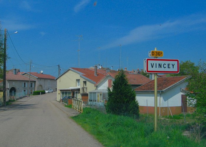 Vincey photo