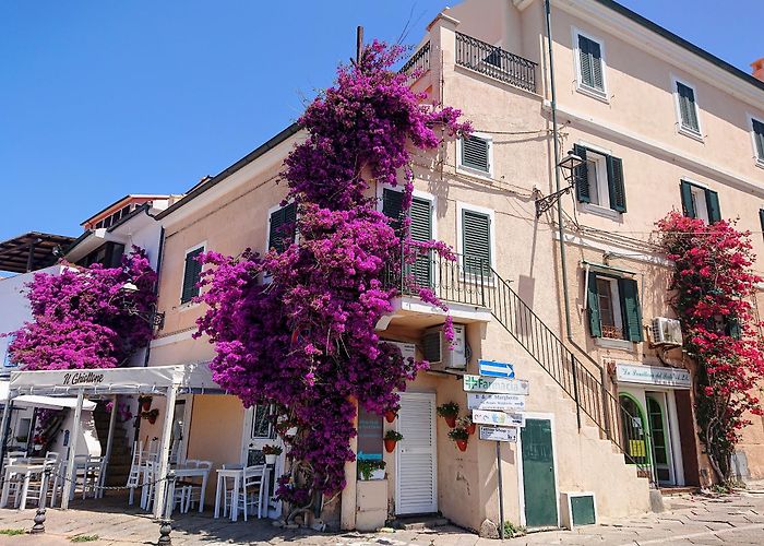 La Maddalena (Sassari) photo