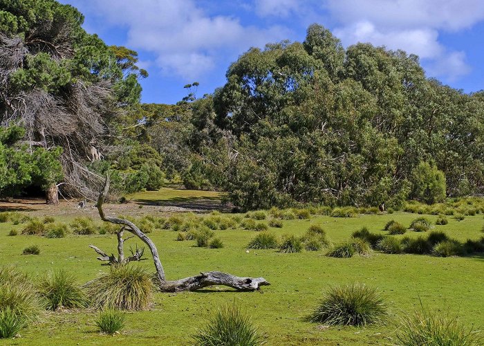 Flinders Chase photo