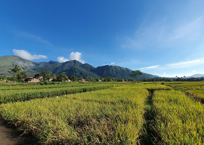 Garut photo