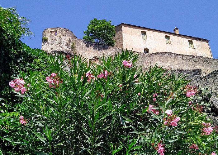 Corte (Corsica) photo