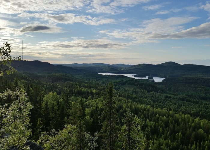 Koli (Lieksa) photo