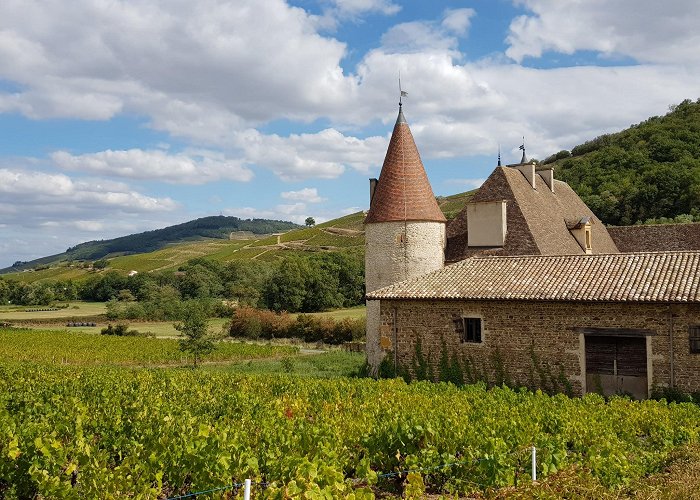 Quincie-en-Beaujolais photo