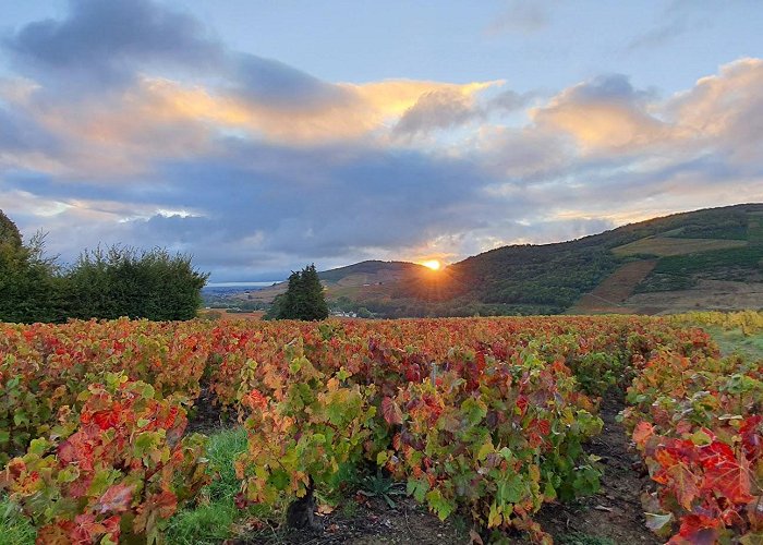 Quincie-en-Beaujolais photo