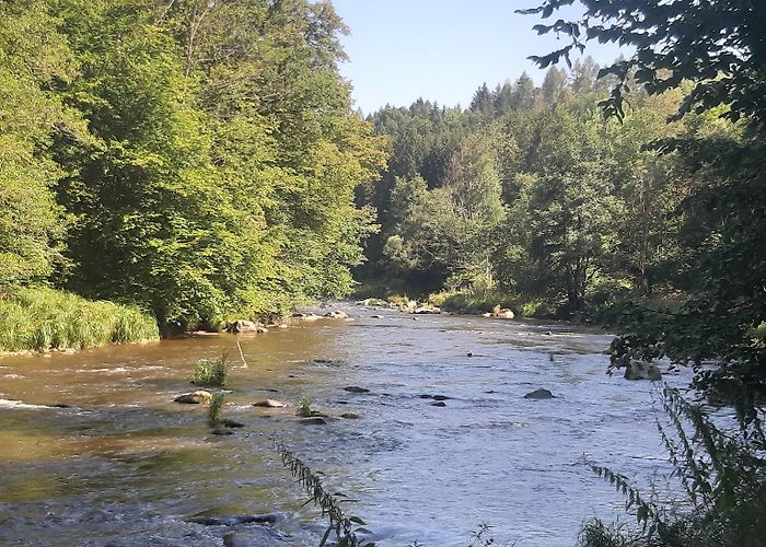 Neukirchen vorm Wald photo