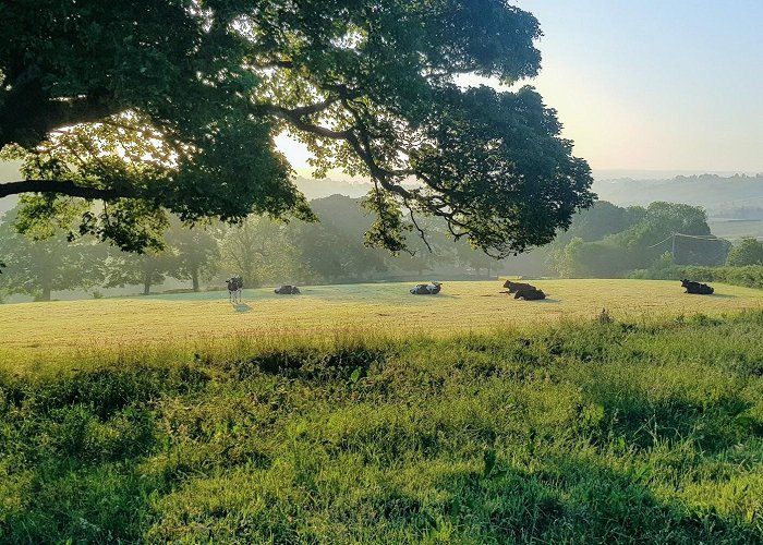 Thornton (West Yorkshire) photo