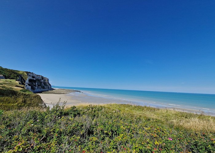 Saint-Martin-en-Campagne photo