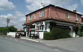 Mucky Duck Inn Horsham Room photo