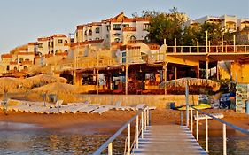 Umbi Sharks Bay Diving Village Sharm-el-Sheikh Exterior photo