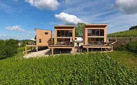 Cottages Antoinette Chigny-les-Roses Exterior photo