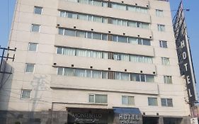 Hotel California Mexico-stad Exterior photo