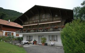 Pristine Home In A Charming Village Large Grassy Sunbathing Area View Of The M Nch And Jungfrau Wilderswil Exterior photo