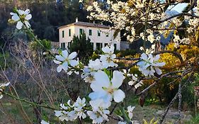 Agroturisme Finca Sa Maniga Pension Bunyola Exterior photo