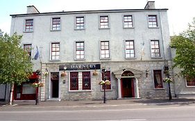 Darnley Lodge Hotel Athboy Exterior photo