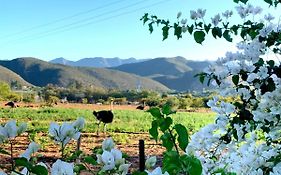 Berluda Farmhouse And Cottages Oudtshoorn Exterior photo