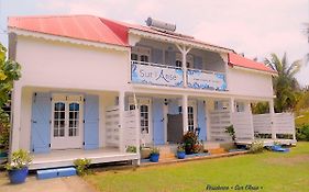 Sur L'Anse Villa Terre-De-Haut Exterior photo