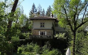 Hostellerie Restaurant Les Gorges De L'Aveyron Bruniquel Exterior photo