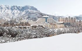 Delpino Hotel Sokcho Exterior photo