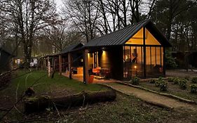 Tiny Lodges&prive-chalets in de Brabantse natuur Diessen Exterior photo