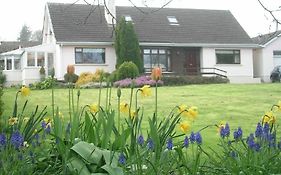 Glen na Smole Bed and Breakfast Wicklow Exterior photo