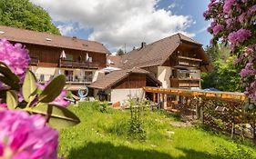 Zur Triftsperre Hotel Passau Exterior photo