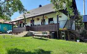 Casa Bunicilor Villa Ciprian Porumbescu Exterior photo