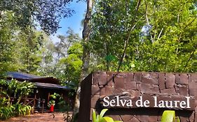 Selva De Laurel Hotel Puerto Iguazú Exterior photo
