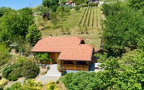 Kuca Za Odmor Hiza I Vila Villa Krapina Exterior photo