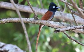 Birds Babble Self Catering Hotel Mbombela Exterior photo