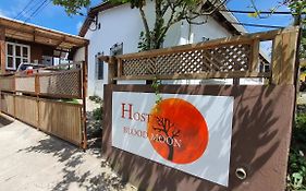 Hostal Blood Moon Hotel Rio Dulce Town Exterior photo