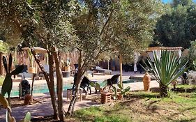 Les Trois Paons Bed and Breakfast Taroudant Exterior photo