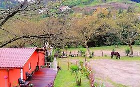 Quinta Do Fijo Villa Arcos de Valdevez Exterior photo